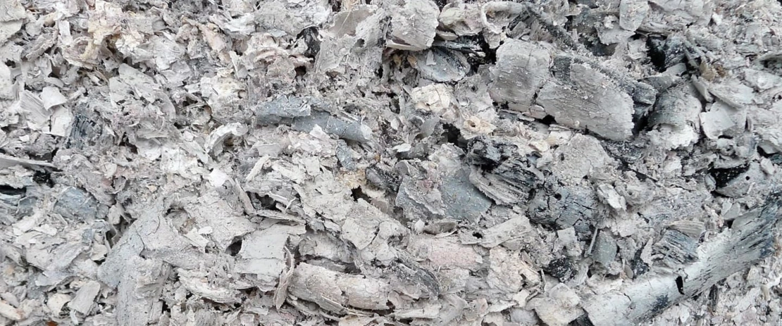 Ceneri del legno
